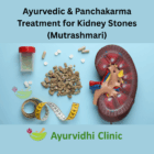 Ayurvedic & Panchakarma for kidney stone treatment at Ayurvidhi Clinic in Pune