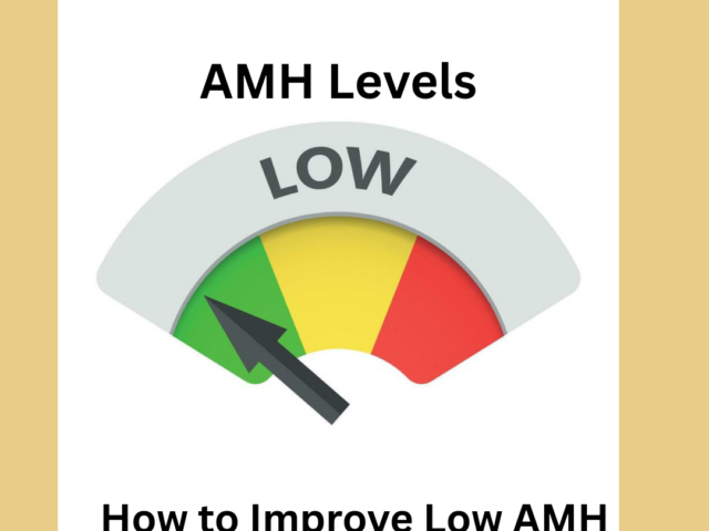 How to Improve Low AMH Naturally? Ayurvedic Treatment Guide